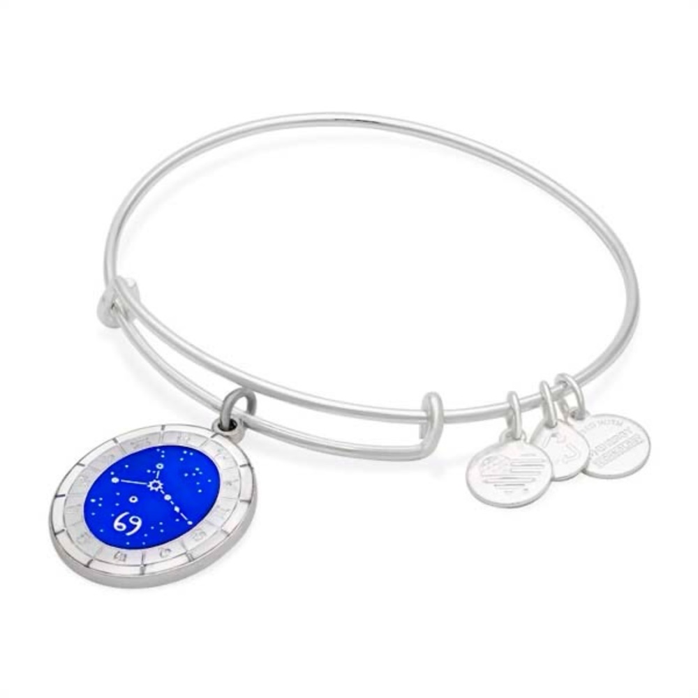 ALEX & ANI•cancer celestial wheel charm silver bangle NWT